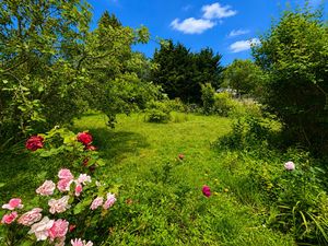 Garden- click for photo gallery